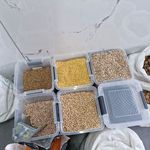 پخش مواد غذایی دباغ