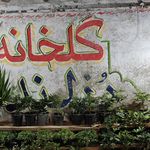 گل فروشی آلستر
