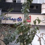 بیمه دانا