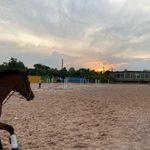 باشگاه سوارکاری عزیزنژاد