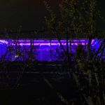 باشگاه سوارکاری عزیزنژاد