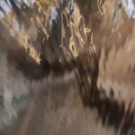 رستوران و فست فود پدیده