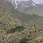 دشت هویج (گرچال، گهچال)