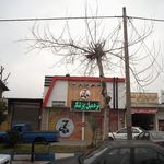 باشگاه بدنسازی مسعود نوربخش