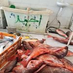 بازار ماهی فروشان عسلویه