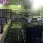 رستوران فرنگی شاخه طوبی 