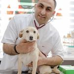 کلینیک دامپزشکی رکس