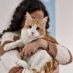 کلینیک دامپزشکی رکس