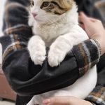 کلینیک دامپزشکی رکس