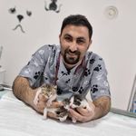 کلینیک دامپزشکی رکس