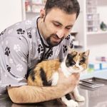 کلینیک دامپزشکی رکس