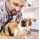 کلینیک دامپزشکی رکس