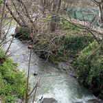 مرداب نشتارود