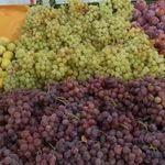 بازار میوه و تره بارخلیج فارس