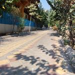 بوستان کاج