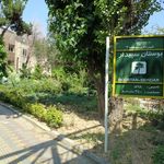 بوستان کاج