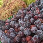 بازار میوه و تره بارخلیج فارس