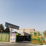 بازار میوه و تره بارخلیج فارس