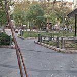 بوستان کاج