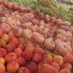 بازار میوه و تره بارخلیج فارس