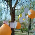 روانشناسی کودک و نوجوان فاطمه طالعی