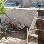 بهروز شامحمدی