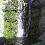 آبشار برگ جهان