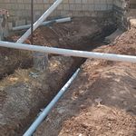 بهروز شامحمدی