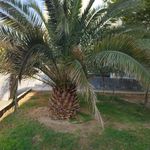 بوستان شهید خدابنده 