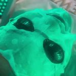 سالن زیبایی و آموزشگاه پریسا تابش