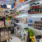 دامپزشکی و پت شاپ فرشتگان