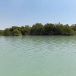 اسکله جنگل حرا طبل