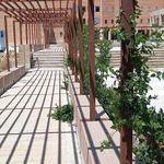 آموزشکده فنی دختران اصفهان