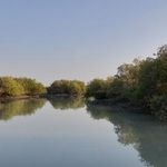 اسکله جنگل حرا طبل