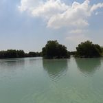 اسکله جنگل حرا طبل