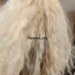 سالن زیبایی بانو عباس نژاد(فریاس)