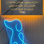 کلینیک دامپزشکی آراز دکتر شایان خلیلی
