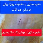 کلینیک دامپزشکی مهر آرا