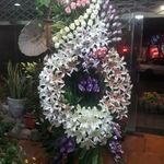 گل فروشی آدنیوم