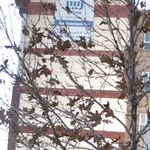 بیمه ایران