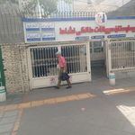 دامپزشکی پاندا
