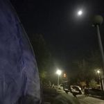 بوستان نیایش