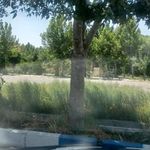 پارک شهدای حصار زیرک