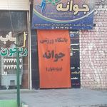باشگاه ورزشی جوانه   ویژه بانوان