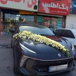 گل کلاسیک