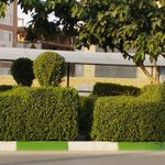 ایستگاه اتوبوس مجیدیه 33