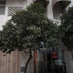 لبنیات ننه نقلی