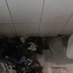 لوله بازکنی اصغر رجبی