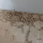 خدمات سمپاشی پورسیفی