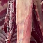 سوپرگوشت مهر امام رضا  